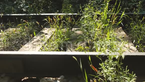 旧废弃铁路生锈的铁轨和旧枕木的4k杜利录像视频的预览图