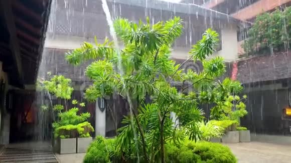 亚洲传统建筑木质屋顶在大雨时流的水流和水滴视频视频的预览图