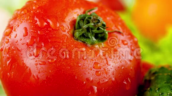 宏观4k镜头水滴落在新鲜成熟的红色番茄上健康营养和有机食品概念视频的预览图