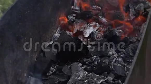 户外烧烤时燃烧过程煤视频的预览图
