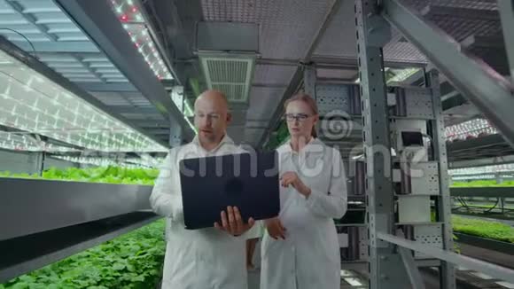 微生物学家男女穿着白大褂生产水培一个男人拿着笔记本电脑一个女人的手视频的预览图