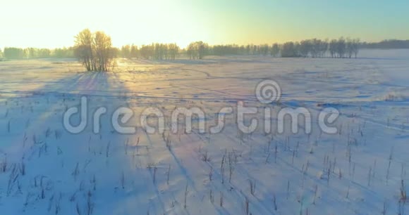 无人驾驶飞机观看寒冷的冬季景观北极的田野覆盖着霜雪的树木和清晨的阳光视频的预览图