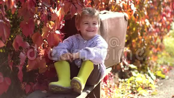 孩子们在秋天户外玩得很开心秋天的孩子可爱的户外儿童肖像在秋天在秋天公园等着可爱的儿童视频的预览图