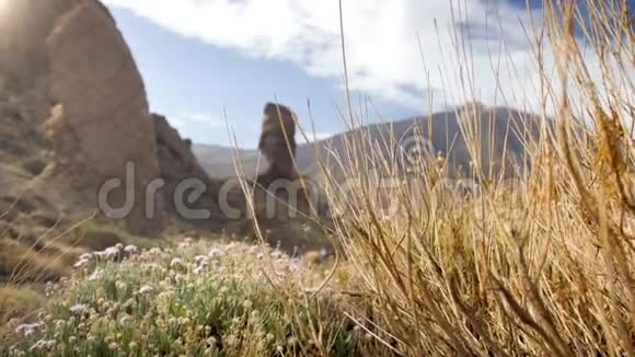 通过干草和鲜花拍摄高山岩石和火山惊人景观的4K视频海地火山视频的预览图