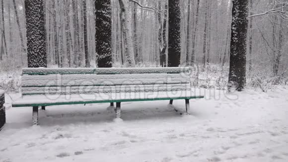 在城市公园下雪视频的预览图