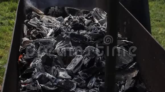 篝火热煤的特写镜头周围是尘埃灰烬动作缓慢视频的预览图