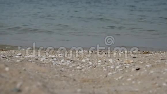 热带海滩阳光明媚的一天夏天有白色的沙子和蓝色的大海海洋视频的预览图