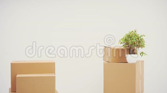 年轻人站在他的新公寓里靠在一堆纸箱上微笑着放弃了拇指视频的预览图