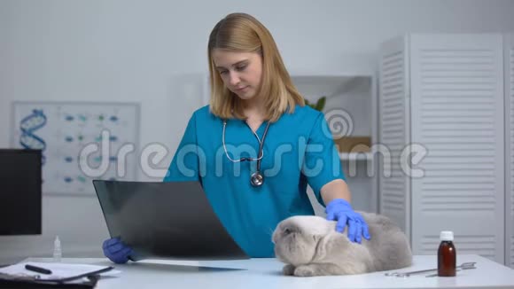 悲伤地看着x光抚摸生病的猫诊断疾病受伤视频的预览图