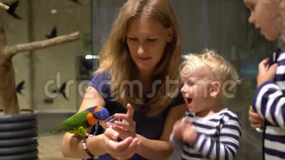 兴奋的孩子和妈妈一起喂食鹦鹉鸟坐在手上万向节运动视频的预览图
