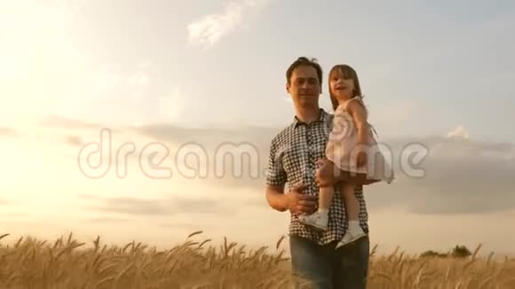 父亲怀里的孩子小女儿和父亲正在一片成熟的小麦田里玩耍小男孩和爸爸视频的预览图