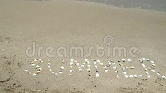 夏天写在沙滩上夏天写在沙滩上视频的预览图