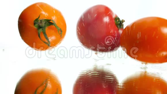 特写慢动作视频三个西红柿落在白色背景的湿反光表面溅水视频的预览图