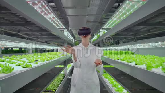 垂直水培人工林一名身穿白大褂的妇女使用虚拟现实技术模拟视频的预览图