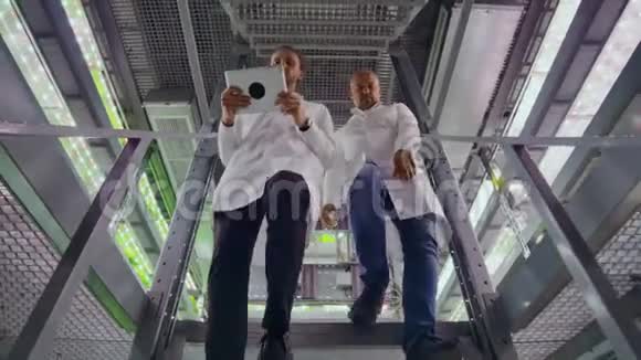 未来种植有机产品的现代农场2两个人走下立农场的楼梯视频的预览图