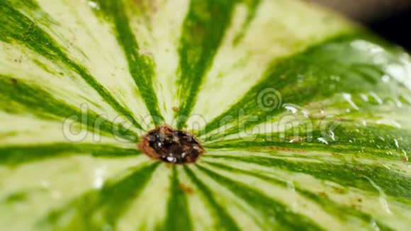 特写4k水滴落在绿色成熟西瓜上的视频完美的有机食品和健康的抽象镜头视频的预览图