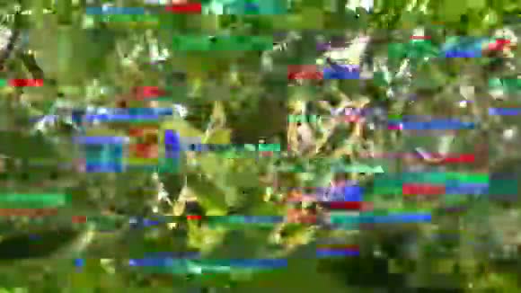 月桂植物花园的数字故障不良传播视频的预览图