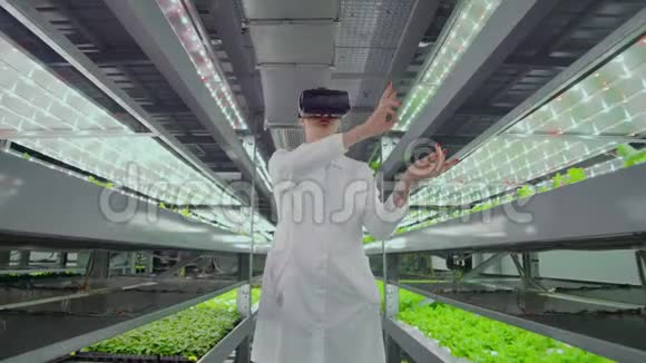 一个穿着白色长袍的女人站在垂直农业的走廊上带着水培带着眼镜虚拟现实视频的预览图