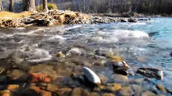 多利滑块拍摄了在森林附近的一条山河里飞溅的水潮湿的岩石和阳光水平稳定视频的预览图