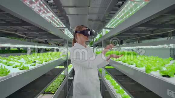 现代女性微生物学家使用虚拟现实眼镜来控制和控制现代农场的气候以生长生态视频的预览图