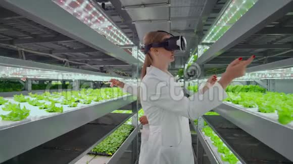 穿着白大褂的垂直水培人工林使用虚拟现实技术模拟界面视频的预览图