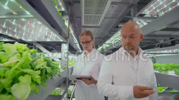生物学家将芽放入试管中进行实验室分析两位科学家站在温室里他们穿着白色的衣服视频的预览图