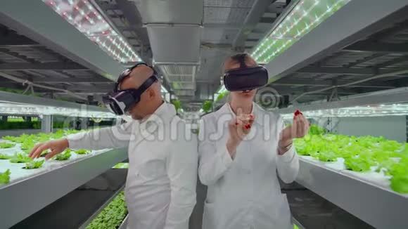 现代微生物学家使用虚拟现实眼镜来控制和控制现代农场的气候以生长生态视频的预览图