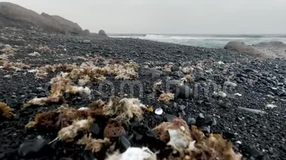 在寒冷的雾天有黑色和沙岩的废弃海洋海滩的4k特写视频视频的预览图