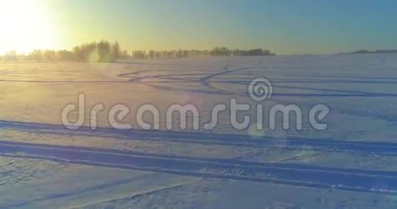 无人驾驶飞机观看寒冷的冬季景观北极的田野覆盖着霜雪的树木和清晨的阳光视频的预览图