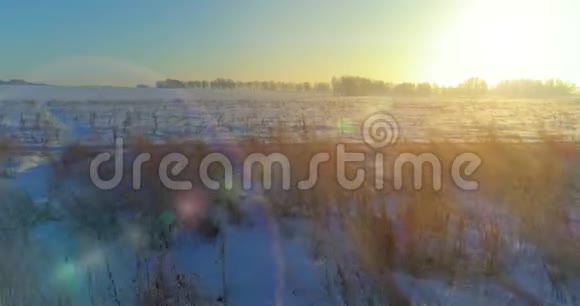 无人驾驶飞机观看寒冷的冬季景观北极的田野覆盖着霜雪的树木和清晨的阳光视频的预览图