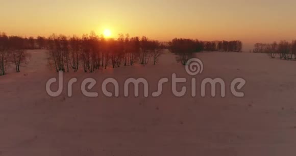 无人驾驶飞机观看寒冷的冬季景观北极的田野覆盖着霜雪的树木和清晨的阳光视频的预览图