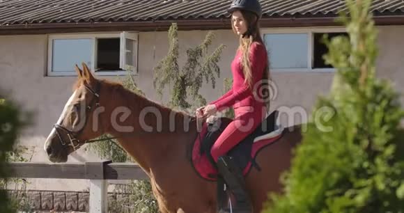 白种人的雌性马术运动员坐在优雅的棕色马背上穿粉色衣服的骑师的肖像视频的预览图