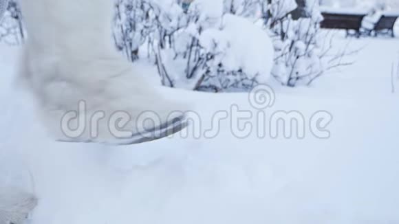 一个年轻女孩的腿在雪地里穿着高靴毛毡靴gg靴子在雪地里行走一个下雪的冬季公园特写视频的预览图