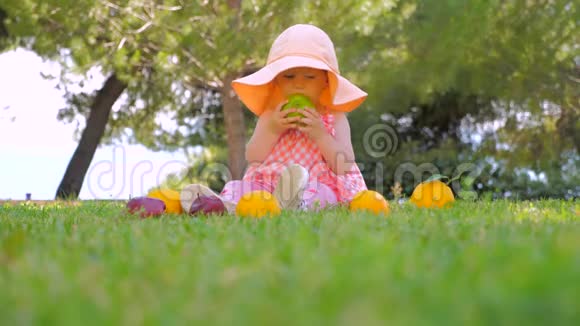 新鲜水果围绕着婴儿坐在前院巴拿马的孩子在后院户外玩得很开心快乐童年概念视频的预览图