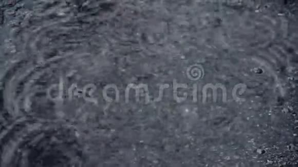 四月的雨城市的第一场春雨喷水视频的预览图