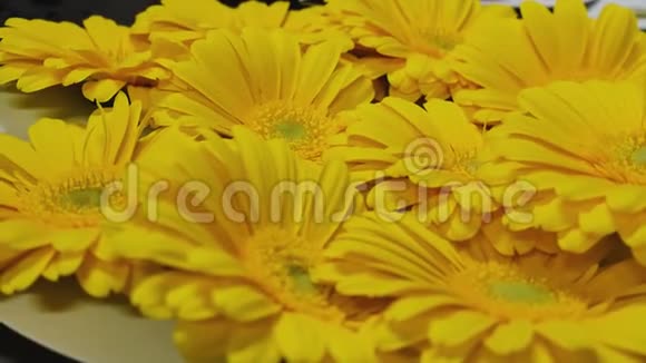 三月八日出售菊花作为礼物视频的预览图