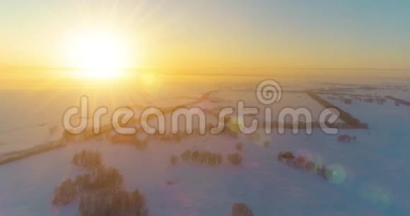 无人驾驶飞机观看寒冷的冬季景观北极的田野覆盖着霜雪的树木和清晨的阳光视频的预览图