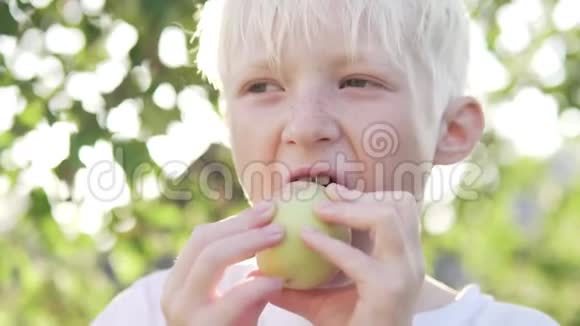美丽的金发男孩在夕阳的背景下在花园里吃苹果视频的预览图