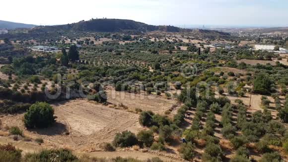 山谷里有橄榄树和农村的房子塞浦路斯视频的预览图