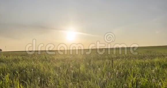 夏季或秋季的山地草地时间狂野无尽的自然和田园阳光照在绿草上视频的预览图