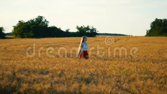 穿着红裙子的长发女孩走在麦田上晚上时间视频的预览图