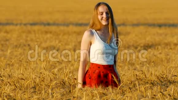 日落时分穿着红裙子的漂亮女孩在成熟的麦田里旋转夏日之夜视频的预览图
