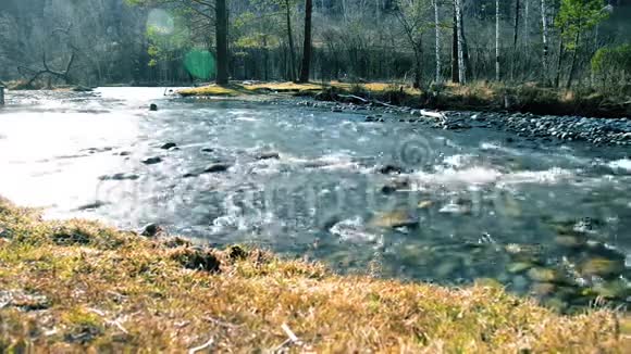 多利滑块拍摄了在森林附近的一条山河里飞溅的水潮湿的岩石和阳光水平稳定视频的预览图