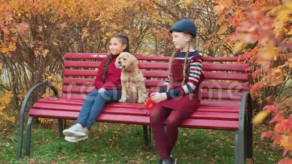 可爱的微笑女孩和狗在公园的长凳上视频的预览图