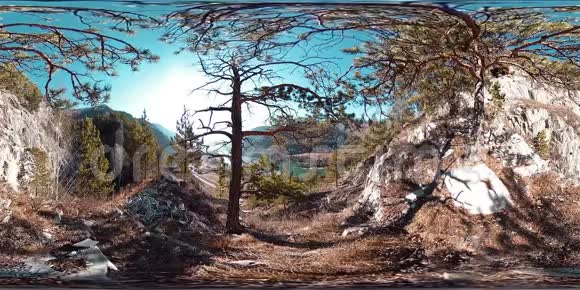 秋天阳光明媚的时候一个山景的VR野山松树和巨大的岩石视频的预览图