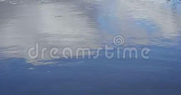 云在平静的水面上反射视频的预览图