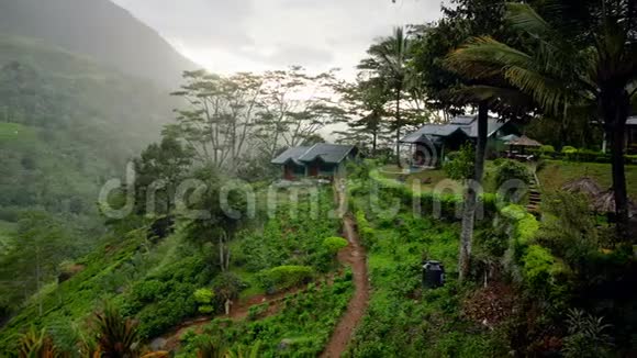斯里兰卡山坡上美丽的小村庄和茶园的4k淘拍视频视频的预览图