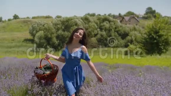 带着篮子走在花丛中的迷人女人视频的预览图