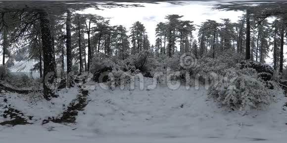 山湖360vr在冬季时间野生自然和山谷青翠的松树和天空中的快云视频的预览图