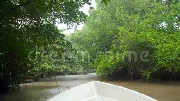 从摩托艇的鼻子看在热带丛林森林的河上航行同时下雨视频的预览图